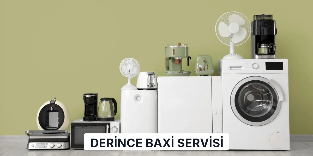 Derince Baxi Servisi