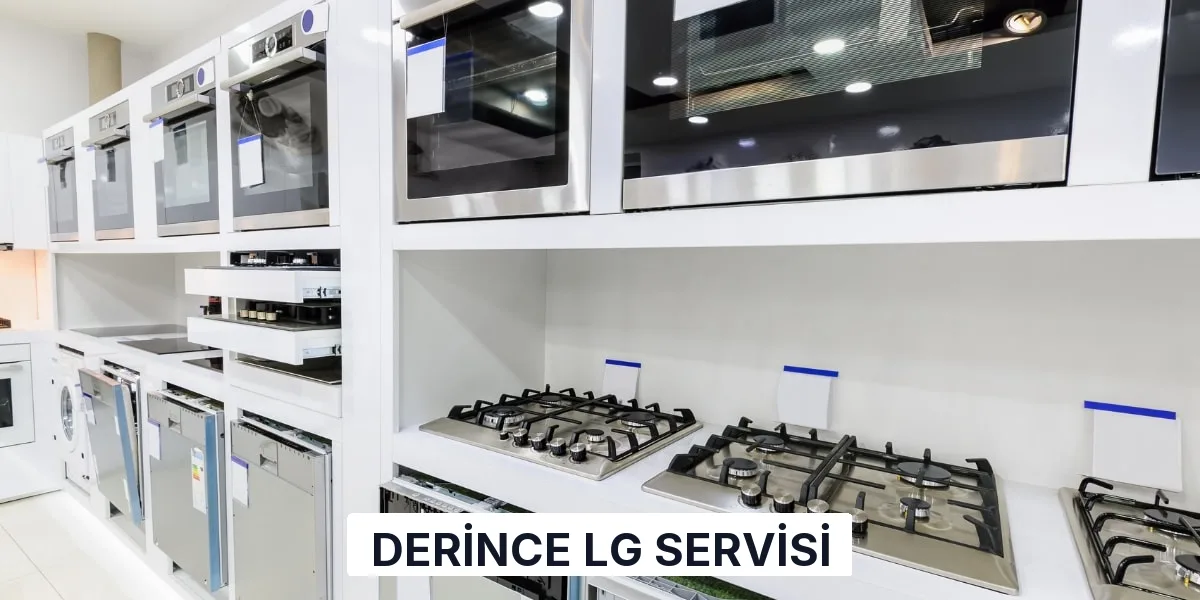 Derince LG Servisi