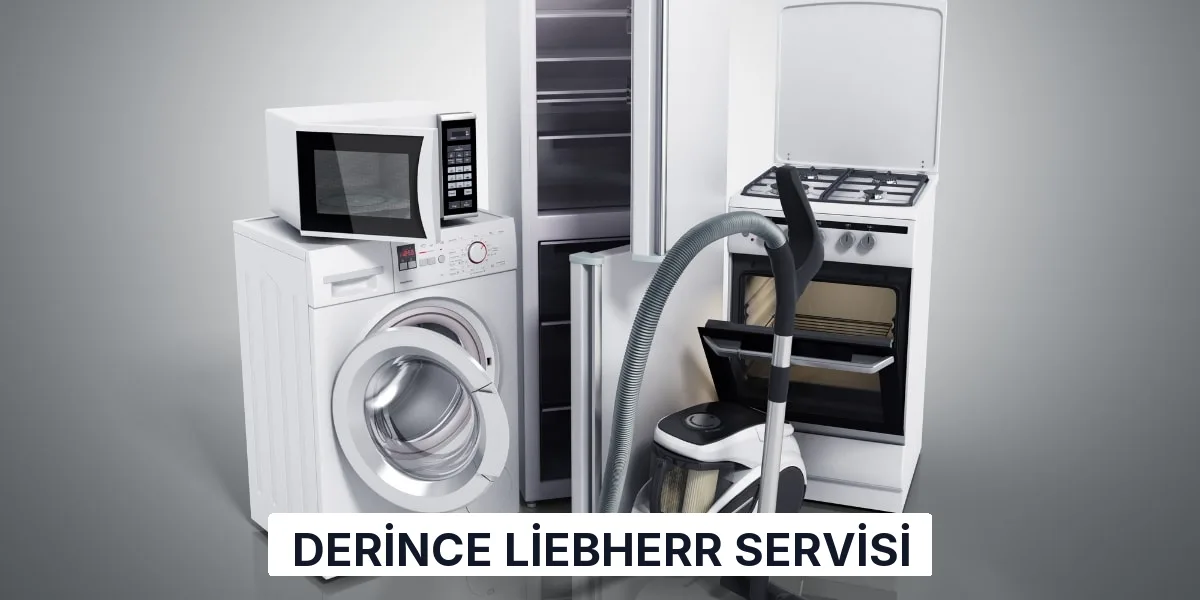 Derince Liebherr Servisi